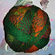 Zauberball Strke 6 - Kunterbunt, Farbe 1505, Schoppel-Wolle, 75% Schurwolle, 25% Polyamid, 18.00 