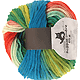 Reggae Ombre - Papagei, Farbe 1701, Schoppel-Wolle, 100% Schurwolle , 5.95 